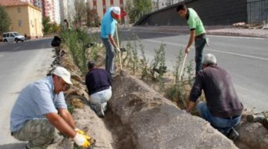 Talas&rsquo;ta Yeşil Alan 6 Metreyi Aştı