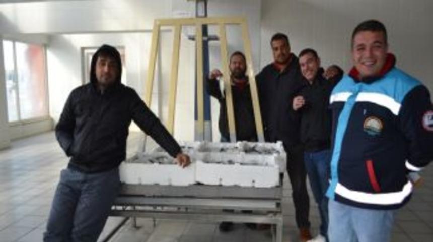 K&uuml;&ccedil;&uuml;k Balık Operasyonu