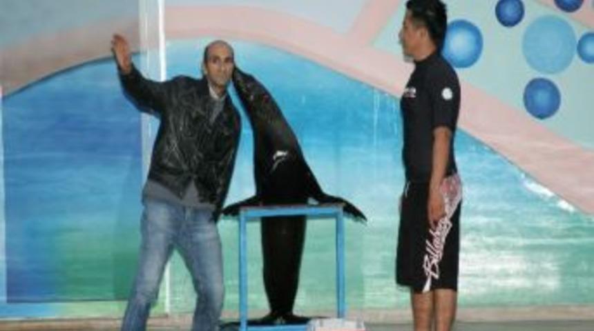 Gaziantepli Futbolcu Ve Basketbolcular Foklarla Stres Attı