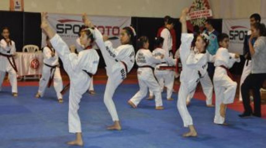 Taekwondo Şampiyonası Amasya'da Başladı