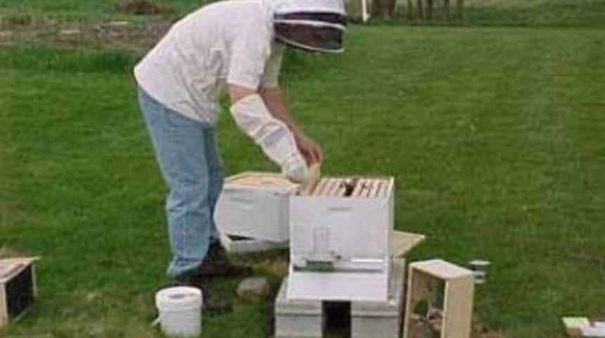 171 Arıcı 149 Bin Tl Destek Alacak