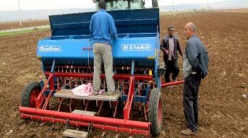 Araban Ovası&rsquo;na 6 &Ccedil;eşit Buğday Deneme Ekimi Yapıldı