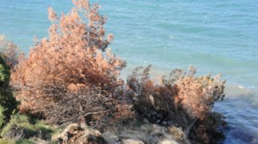 &Ccedil;anakale&rsquo;de Heyelan