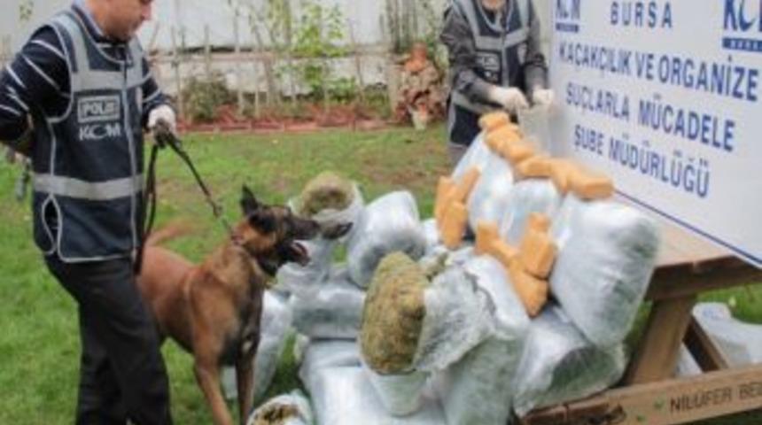 Uyuşturucu Taciri Polisi G&ouml;r&uuml;nce Kamyonla Ka&ccedil;maya &Ccedil;alıştı