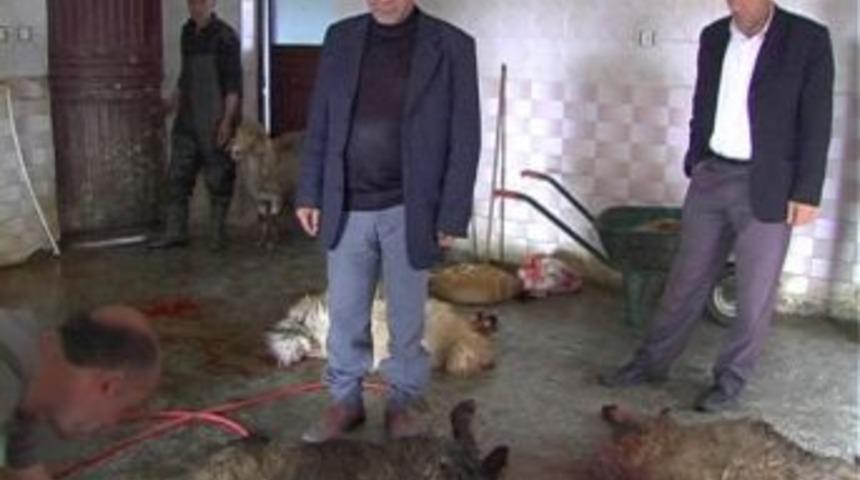 Belediye İş&ccedil;ilerinden Obama'ya 11 Kurban