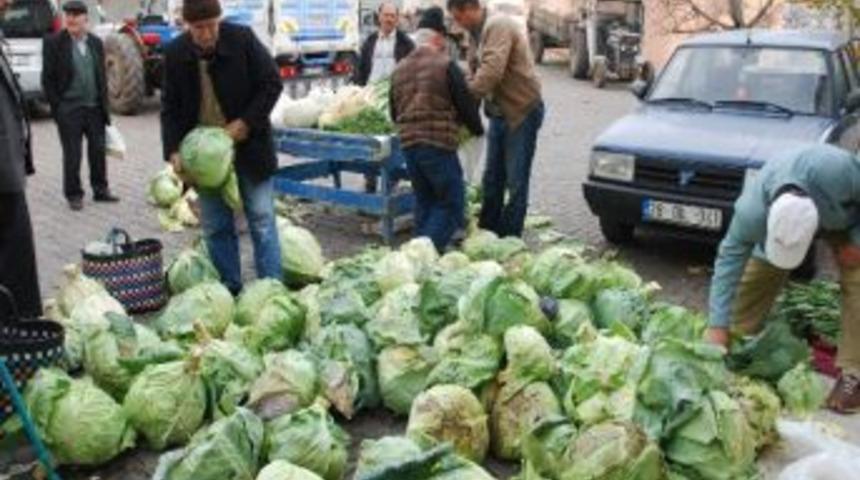 Giresun&rsquo;un Fındık &Uuml;retimi Yapılmayan Alucra İl&ccedil;esinde Pancar &Uuml;retimi &Ouml;nemli Ge&ccedil;im Kaynağı Haline Geldi