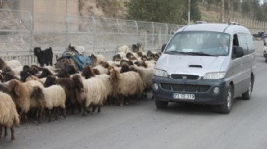 Şırnak&rsquo;ta G&ouml;&ccedil;lerin Inişleri Devam Ediyor
