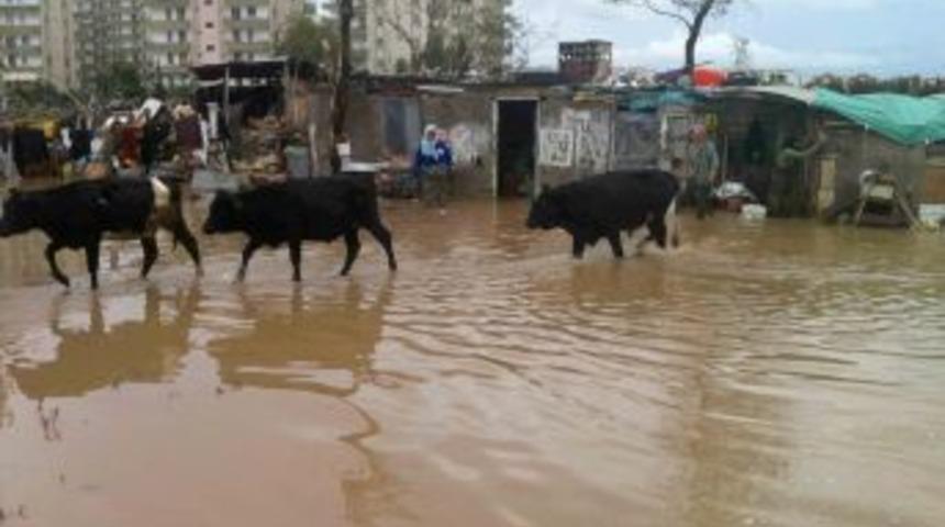Mersin'de Bir &Ccedil;ok Ev Ve Işyeri Su Altında Kaldı