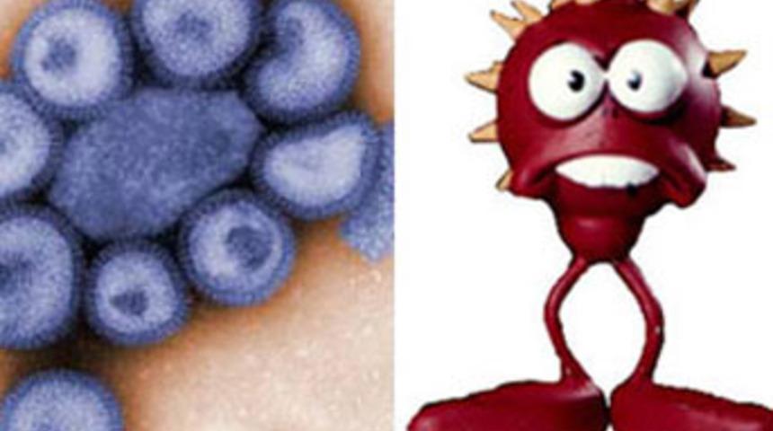 Tanışalım ben domuz gribi!