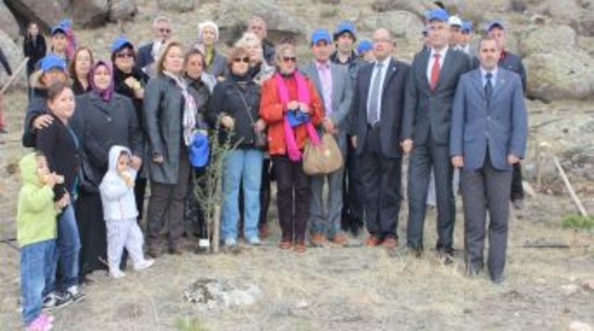 Hastalar Fidan Dikerek Moral Buldu