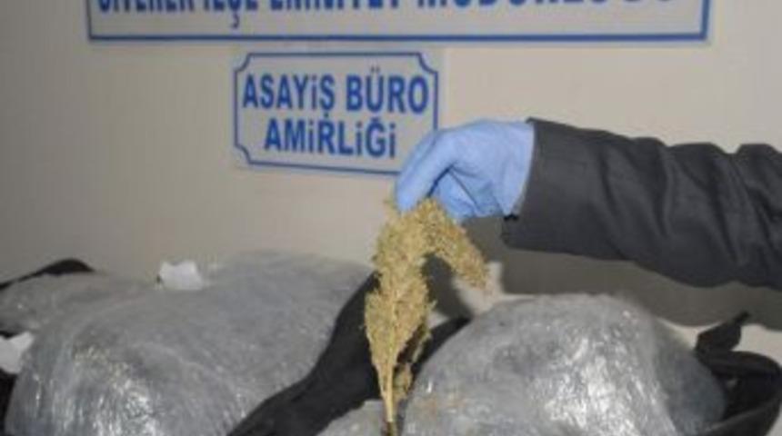 Siverek'te 57 Kilo Esrar Ele Ge&ccedil;irildi