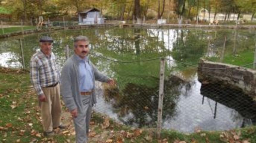 Saniyede 17 Litre Su &Ccedil;ıkan Kaynak, 500 Yıldır Kesintisiz Akıyor