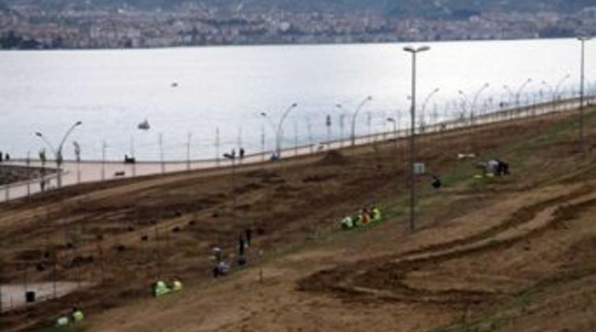 Derince-K&ouml;rfez sahili yeşilleniyor