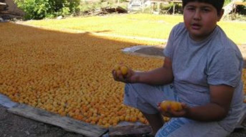 Borsada 121 Bin 553 Tl&rsquo;lik İşlem Ger&ccedil;ekleştirildi