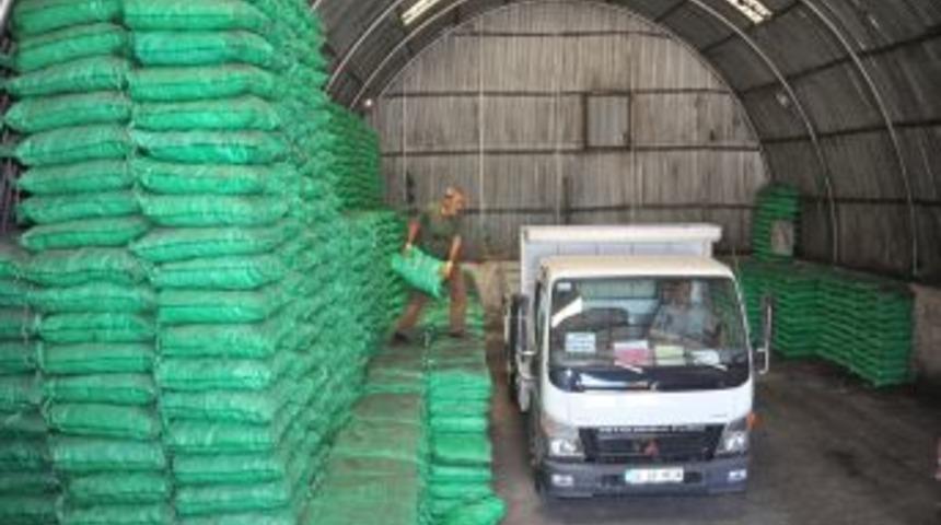 Başkent'te 85 Bin Aileye B&uuml;y&uuml;kşehir'den K&ouml;m&uuml;r Yardımı