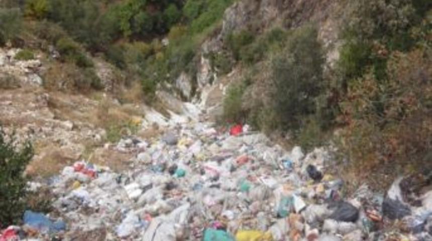 Ko&ccedil;ak Kanyonunda &Ccedil;evre Katliamına Dur Diyen Yok