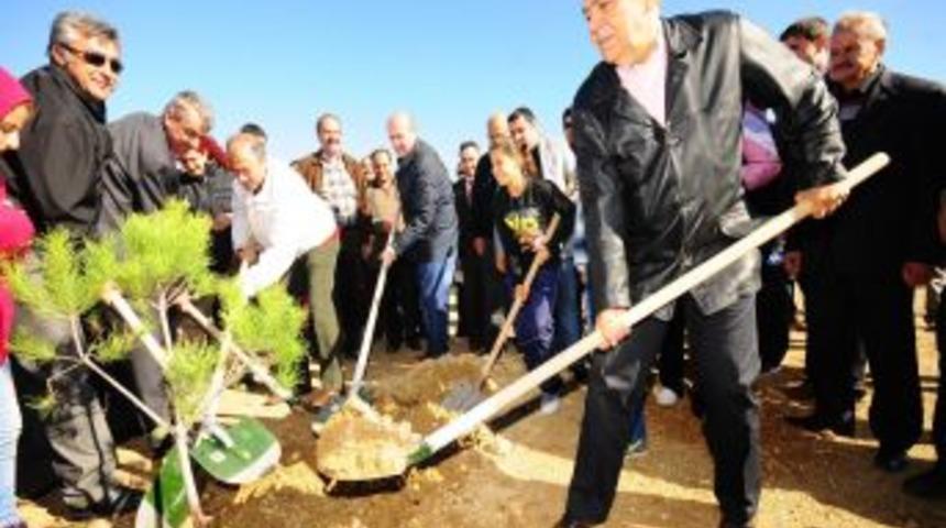Moloz Sahası Yeni Kent Ormanı Oluyor