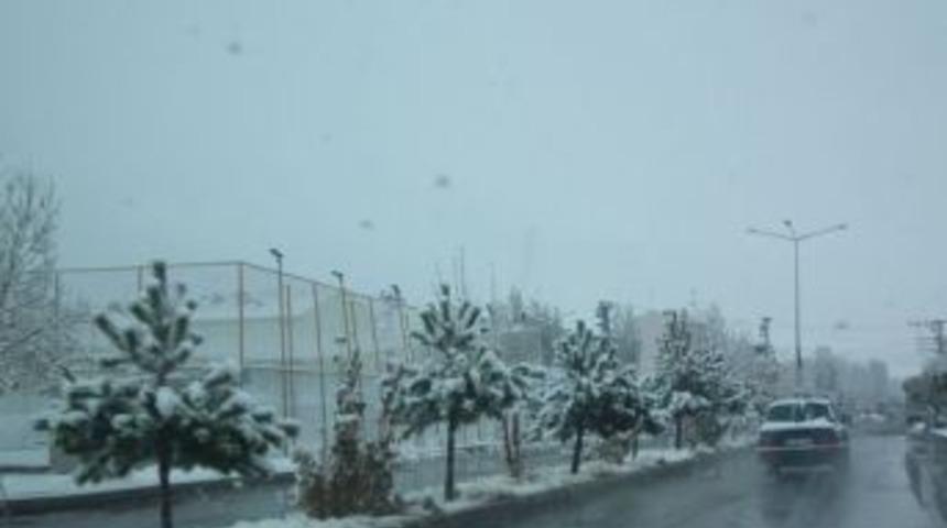 &Ccedil;iftlik&rsquo;e Yılın İlk Karı D&uuml;şt&uuml;