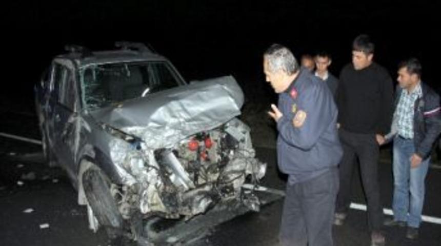 Başıboş Eşek 3 Kişinin Yaralanmasına Neden Oldu