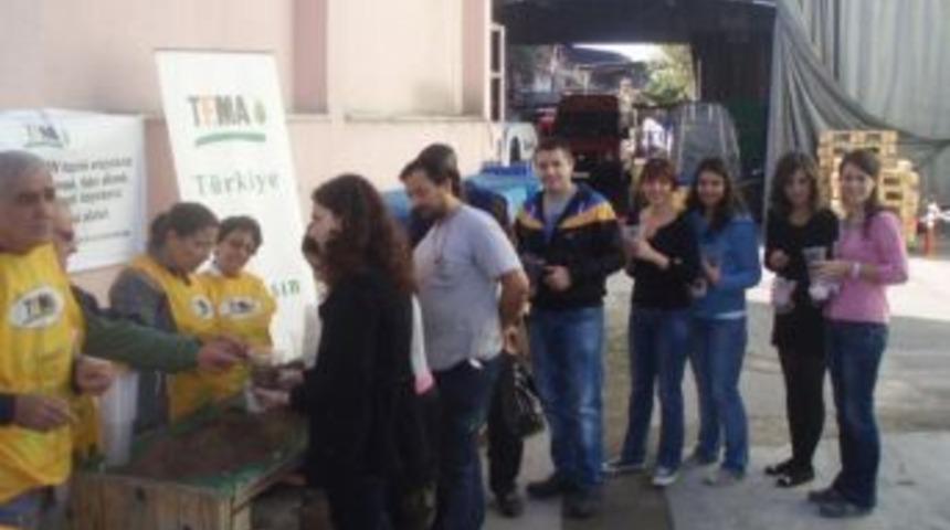 Fıstık &Ccedil;amı Tohumlarını Toprakla Buluşturdular