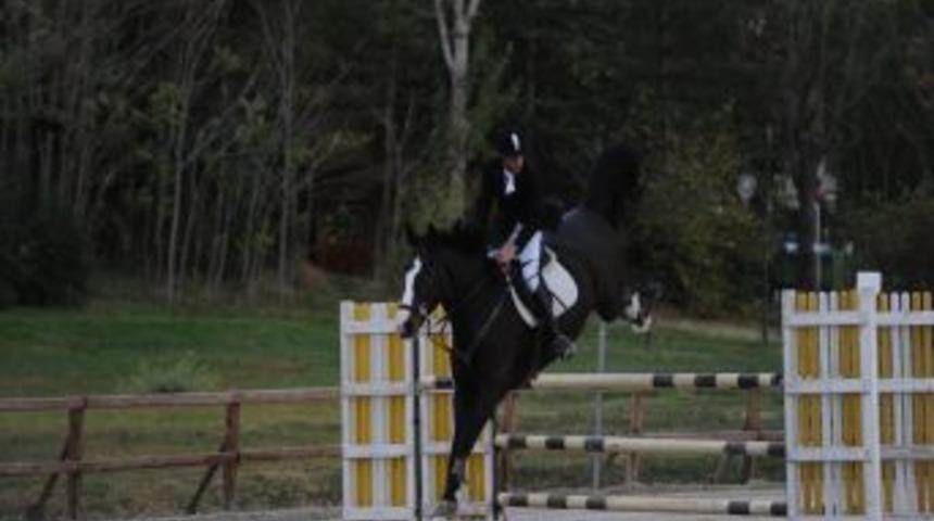Gıda, Tarım Ve Hayvancılık Bakanlığı Kupası Wassenaar'ın