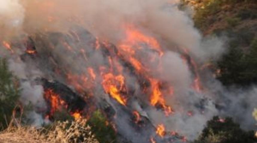 Kumluca'da &Ccedil;&ouml;pl&uuml;k Yangını