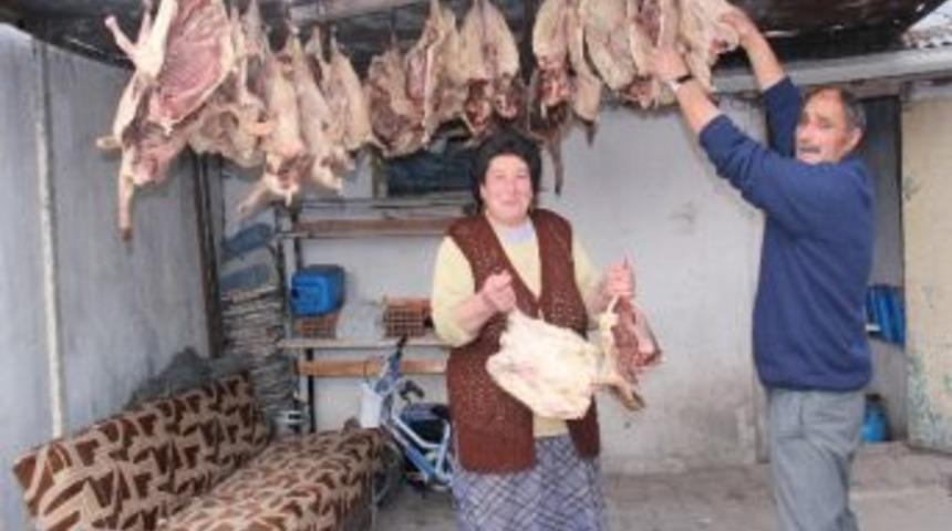 Kazlar Kurutulmaya Başladı