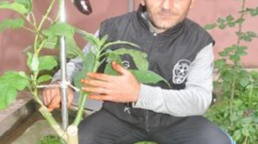 Site G&ouml;revlisinden İlgin&ccedil; Uygulama