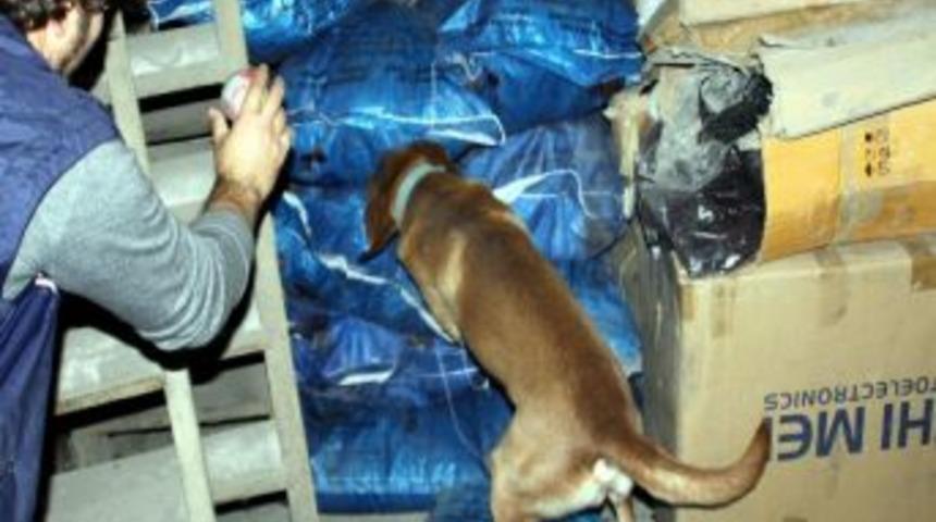 Gaziantep'te Esrar Operasyonları