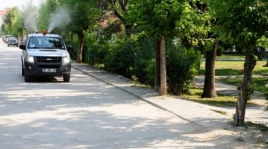 Tepebaşı'nda Haşereyle M&uuml;cadele