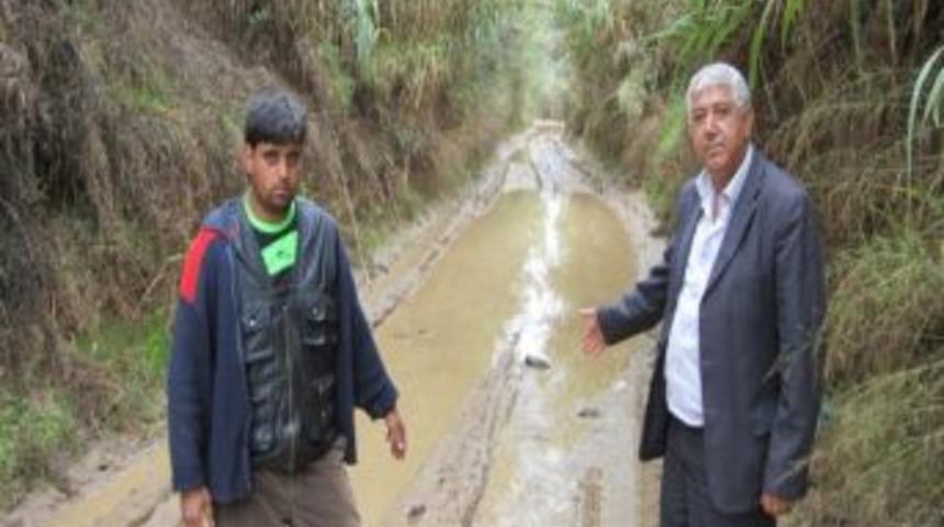 Gelinboz &Ccedil;ayı Kışın Ge&ccedil;it Vermiyor