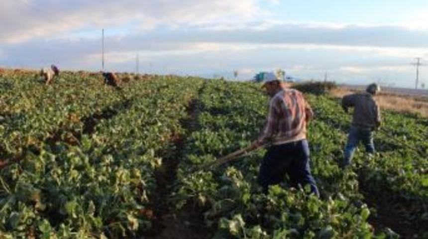 Yağmur &Ccedil;amur Demeden Ekmek M&uuml;cadelesi Veriyorlar