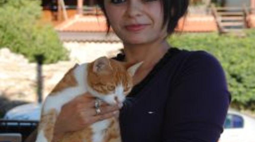 Sideli Hayvansever &Ccedil;ift Sokak Kedilerine Sahip &Ccedil;ıkıyor