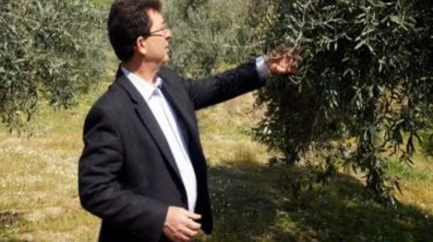Kuru Meyve İhracatında Tanıtım Atağı
