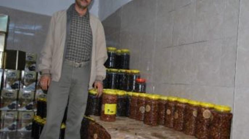 Zeytinin Her Şeyi İla&ccedil; Gibi