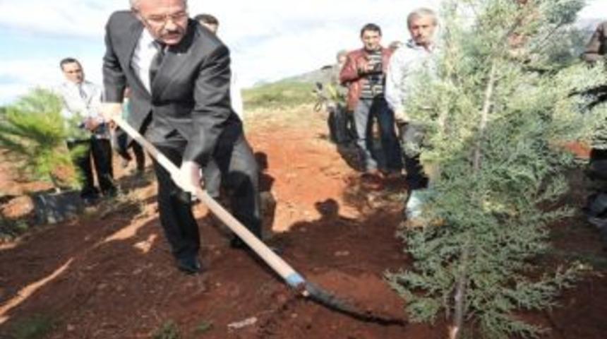 "81 İlde 81 Orman" Projesi