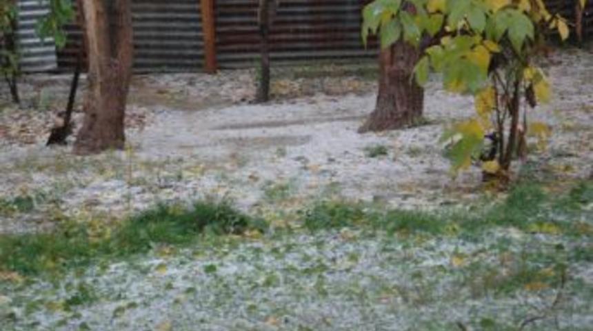 Muş'ta Dolu Yağışı