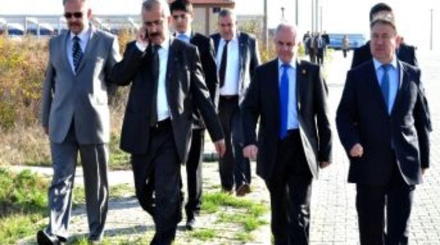 Tarihi Esere Zarar Veren Ağa&ccedil;lar Kesiliyor, Yerine Binlercesi Ekiliyor