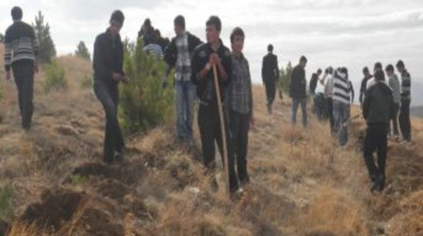 "t&uuml;rkiye &Ccedil;&ouml;l Olmasın, Konaktepe &Ouml;rnek Olsun" Projesiyle 40 Bin Fidan Toprakla Buluştu