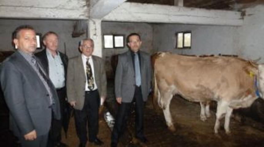 Gıda, Tarım Ve Hayvancılık İl M&uuml;d&uuml;r&uuml; Yaman, &Ouml;rencik K&ouml;y&uuml;n&uuml; Ziyaret Etti