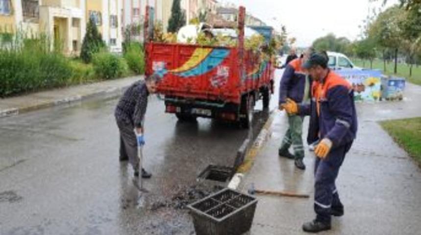 Başiskele'de Mazgallar Temizleniyor