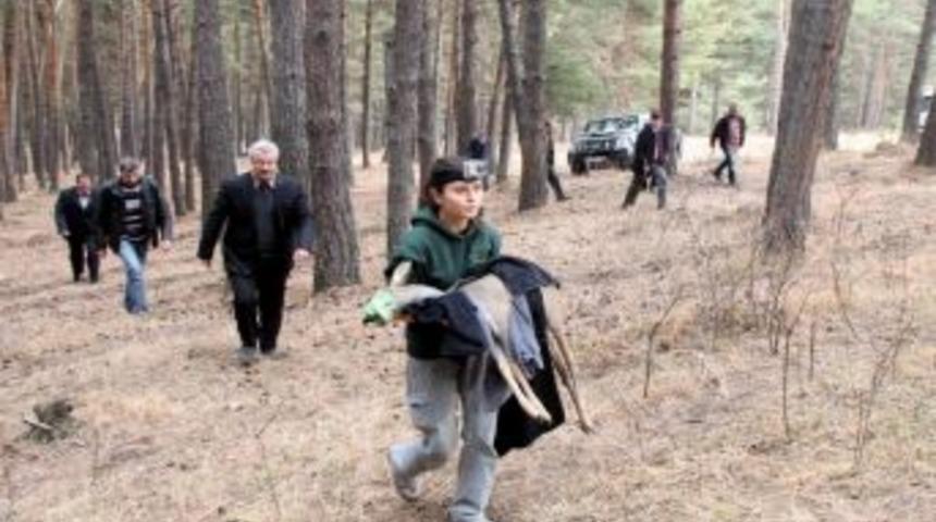 Kars&rsquo;ta Tedavisi Tamamlanan Karaca Doğaya Bırakıldı