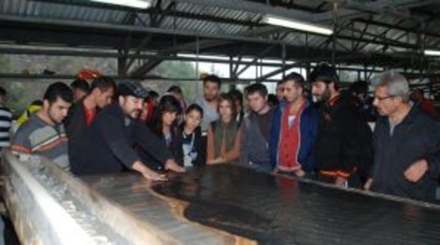 JMO'dan Krom madenine teknik gezi