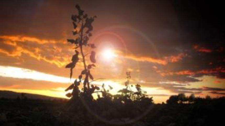 Araban Ovası'nda Kartpostallık Manzaralar