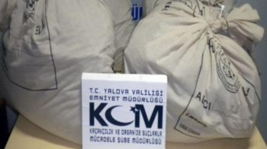 Yalova'da Uyuşturucu Operasyonu