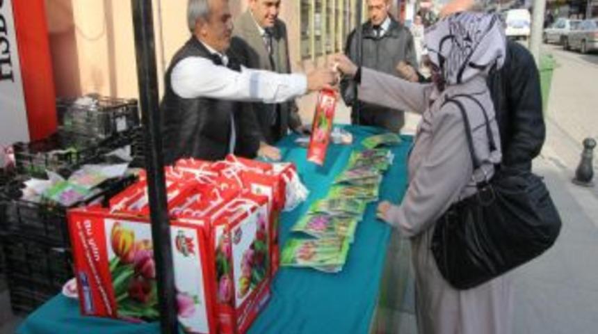 Kocaeli'nde Lale Satışları Başladı