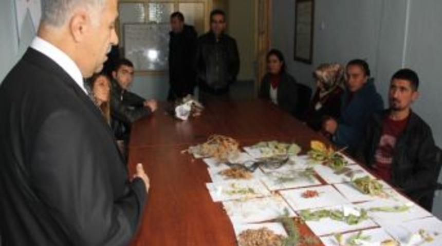 14 Kasım D&uuml;nya Diyabet G&uuml;n&uuml;