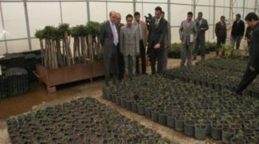 Elazığ Belediyesi Serada Yetiştirdiği &Ccedil;i&ccedil;eklerle Caddeleri S&uuml;sl&uuml;yor