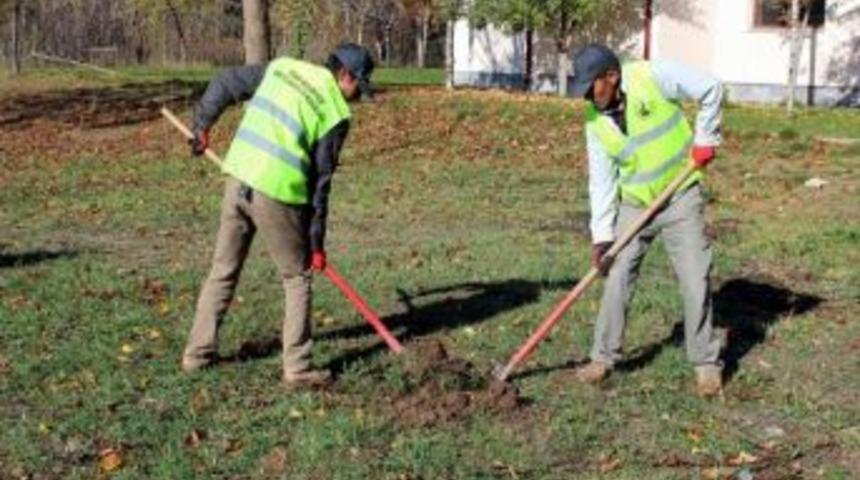40 Bin Fidan Toprakla Buluşacak