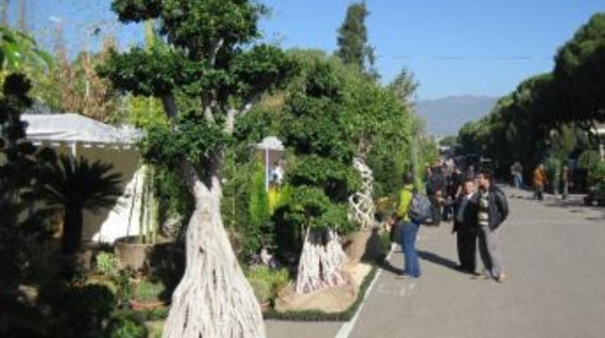 S&uuml;s Bitkileri Sergisi&rsquo;ne &Uuml;st D&uuml;zey B&uuml;rokrat İlgisi